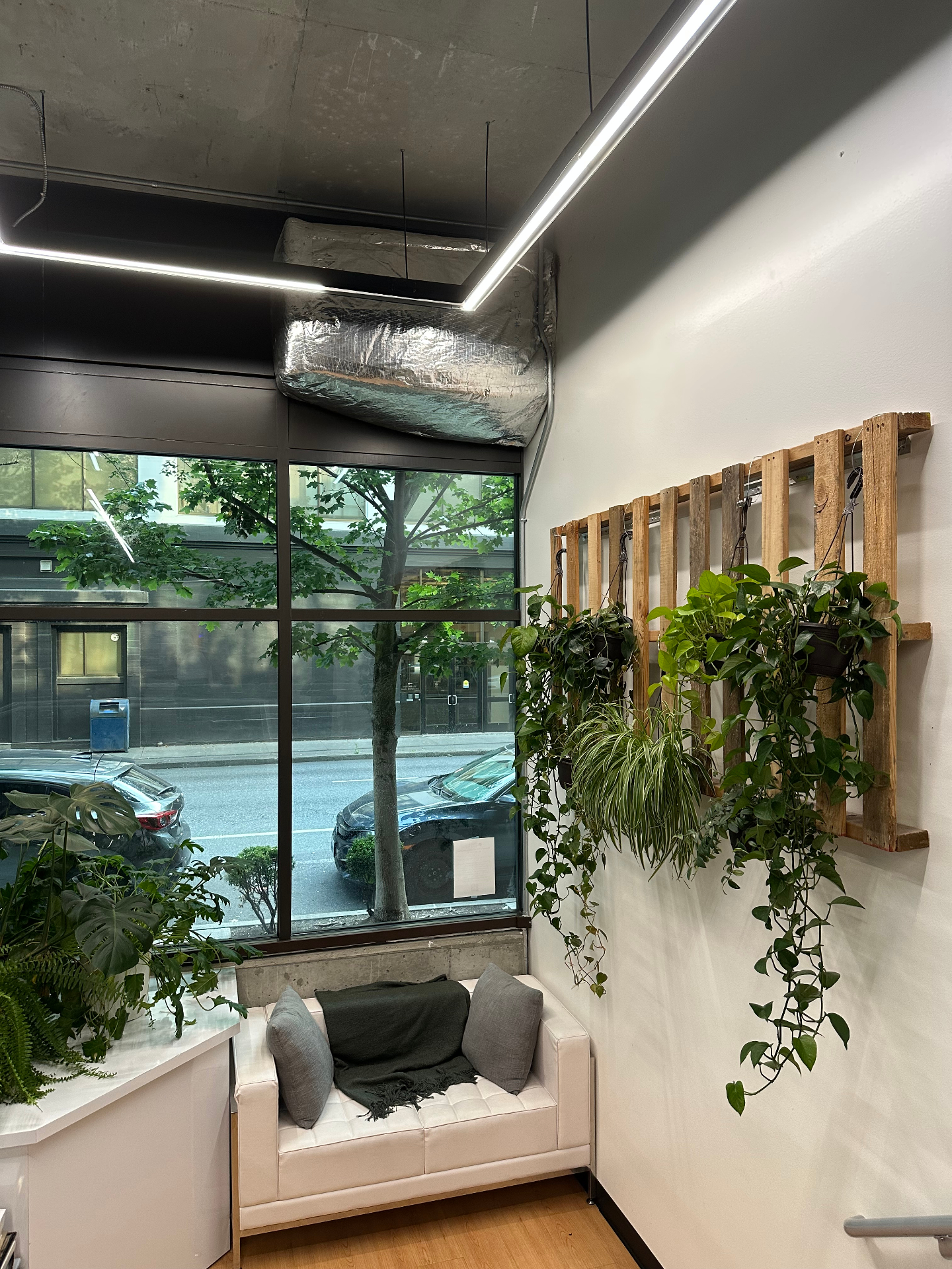 Platform area and main wall with TRAIN Seattle branding